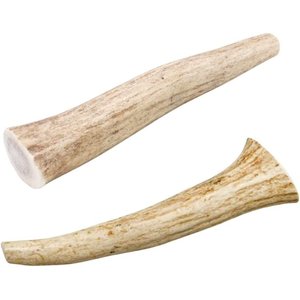 HOTSPOT PETS 7-10-inch All Natural Large Whole Deer Antler Chews Dog Treats, 1 count