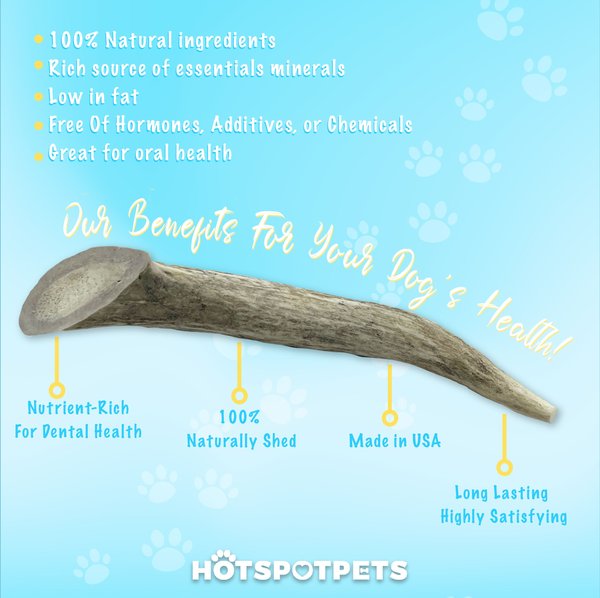 HOTSPOT PETS 7 to 10-in Whole Deer Antler Dog Treats
