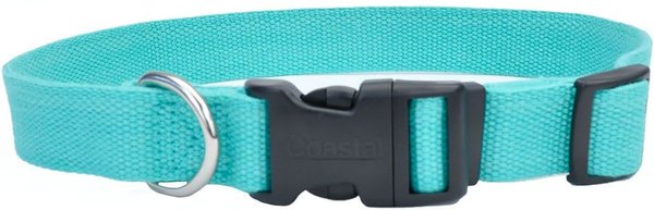 NEW EARTH SOY Adjustable Dog Collar, Mint, Large: 18-26-in neck, 1-in ...