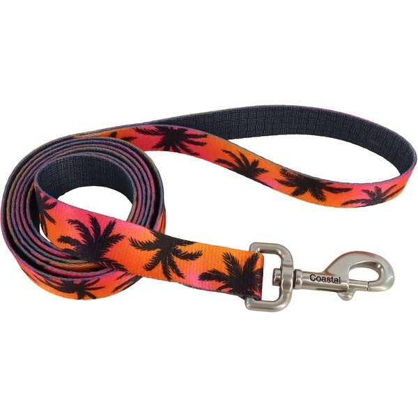 PETSAFE Nylon HandsFree Running Dog Leash, Black