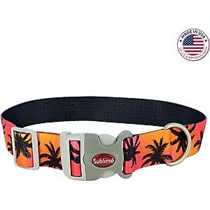 Sublime Adjustable Dog Collar, Sunset Palms with Black Grid, Small: 8-12-in neck, 3/4-in wide