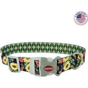 Sublime Adjustable Dog Collar, Sunflower with Green Argyle, Small: 8-12-in neck, 3/4-in wide