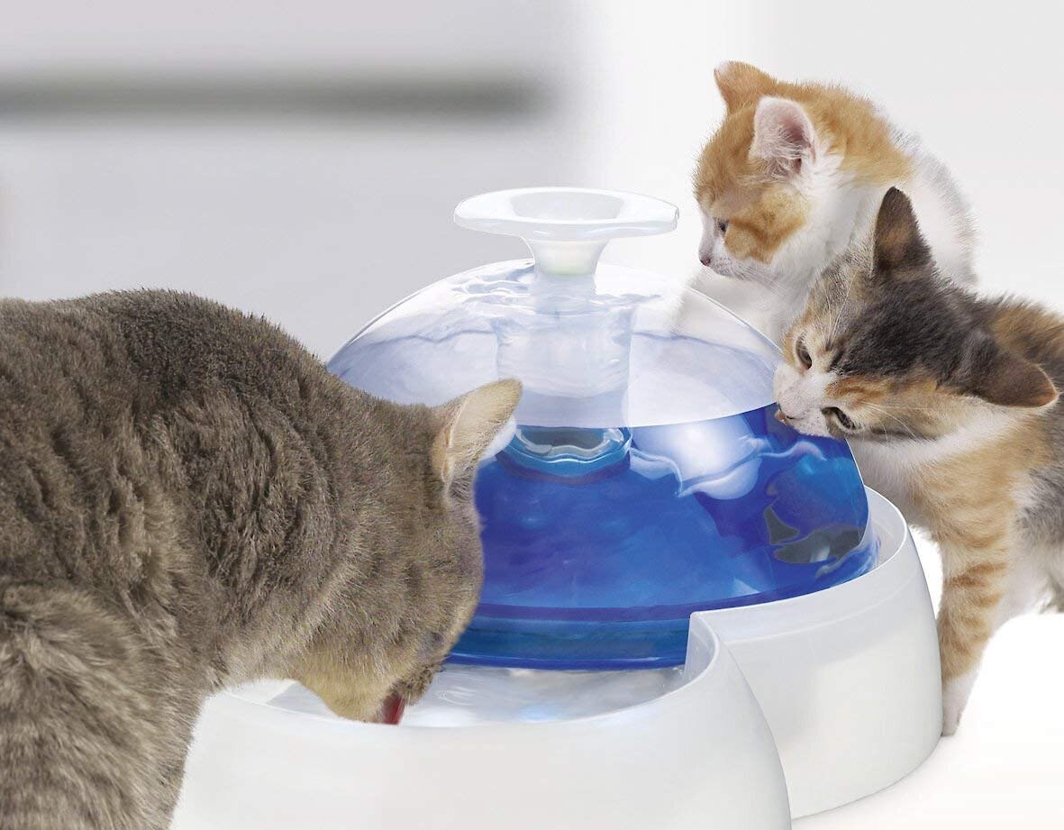 catit design fresh and clear drinking fountain