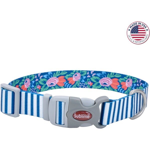 SUBLIME Adjustable Dog Collar, Teal Stripe Flower, Large 1826in, 1 1