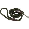 Water & Woods Braided Rope Snap Dog Leash, Green
