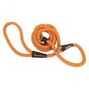 Water & Woods Braided Rope Slip Dog Leash, Safety Orange