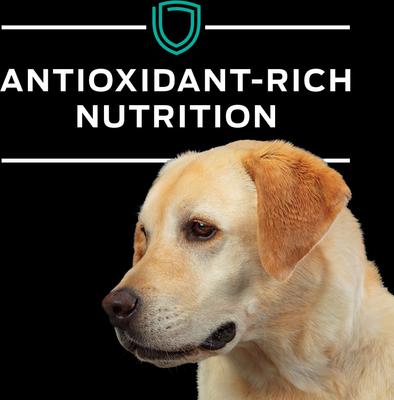 Show full view: Purina Pro Plan Veterinary Diets EN Gastroenteric Dry Dog Food, 18-lb bag slide 9 of 12