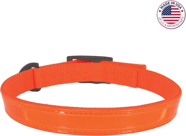 Water & Woods Double-Ply Reflective Hound Dog Collar, Large: 26-in neck, 1-in wide slide 1 of 1