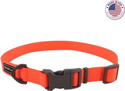 Water & Woods Adjustable Dog Collar, Safety Orange, Small: 10-14-in neck, 3/4-in wide