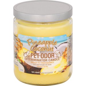 Pet Odor Exterminator Pineapple Coconut Deodorizing Candle, 13-oz