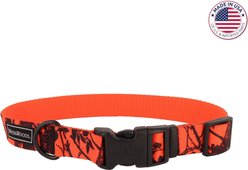 Water & Woods Blaze Adjustable Patterned Dog Collar, Orange Tree, Large: 18-26-in neck, 1-in wide