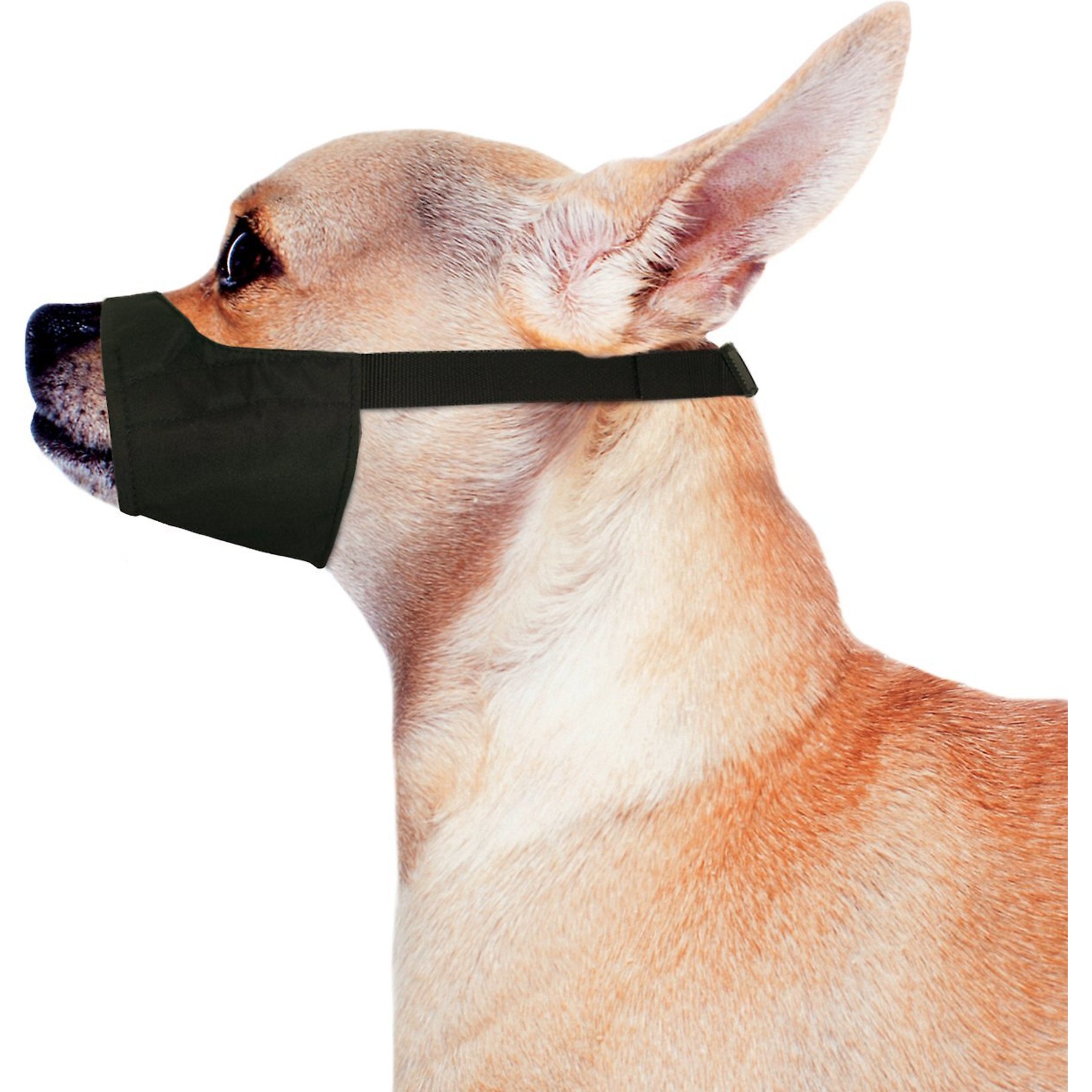 FOUR PAWS Quick Fit Dog Muzzle L Chewy