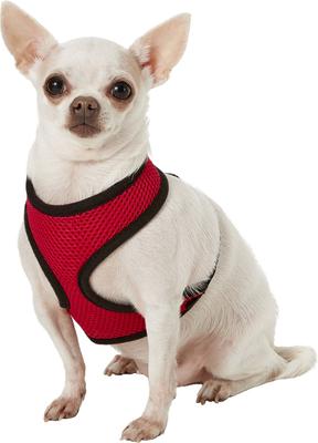 Show full view: Four Paws Comfort Control Dog Harness, Red, Small slide 3 of 12