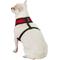 Show in main carousel: Four Paws Comfort Control Dog Harness, Red, Small slide 4 of 12