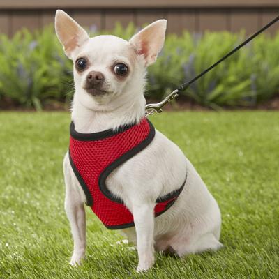 Show full view: Four Paws Comfort Control Dog Harness, Red, Small slide 5 of 12