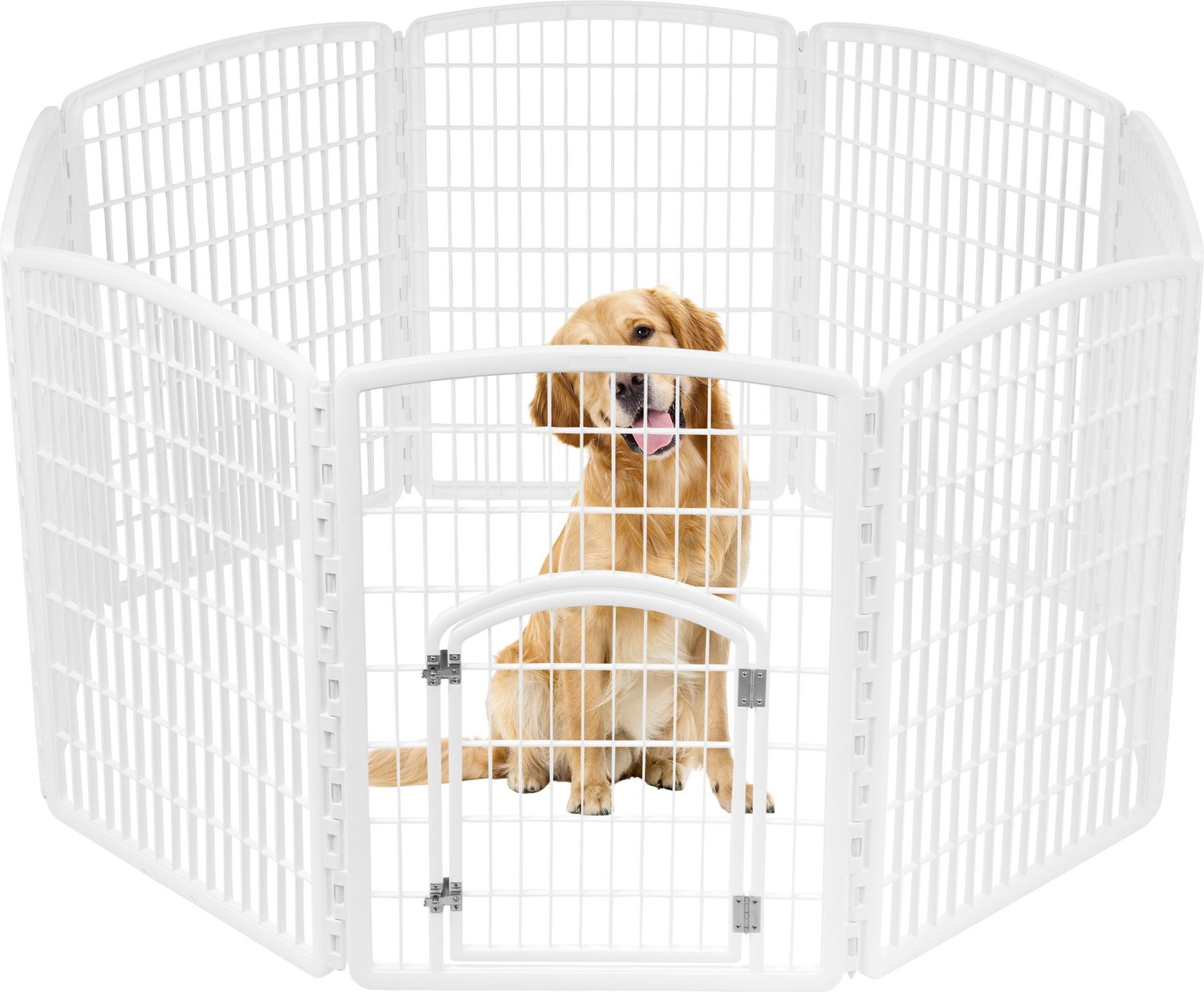 iris plastic dog crate