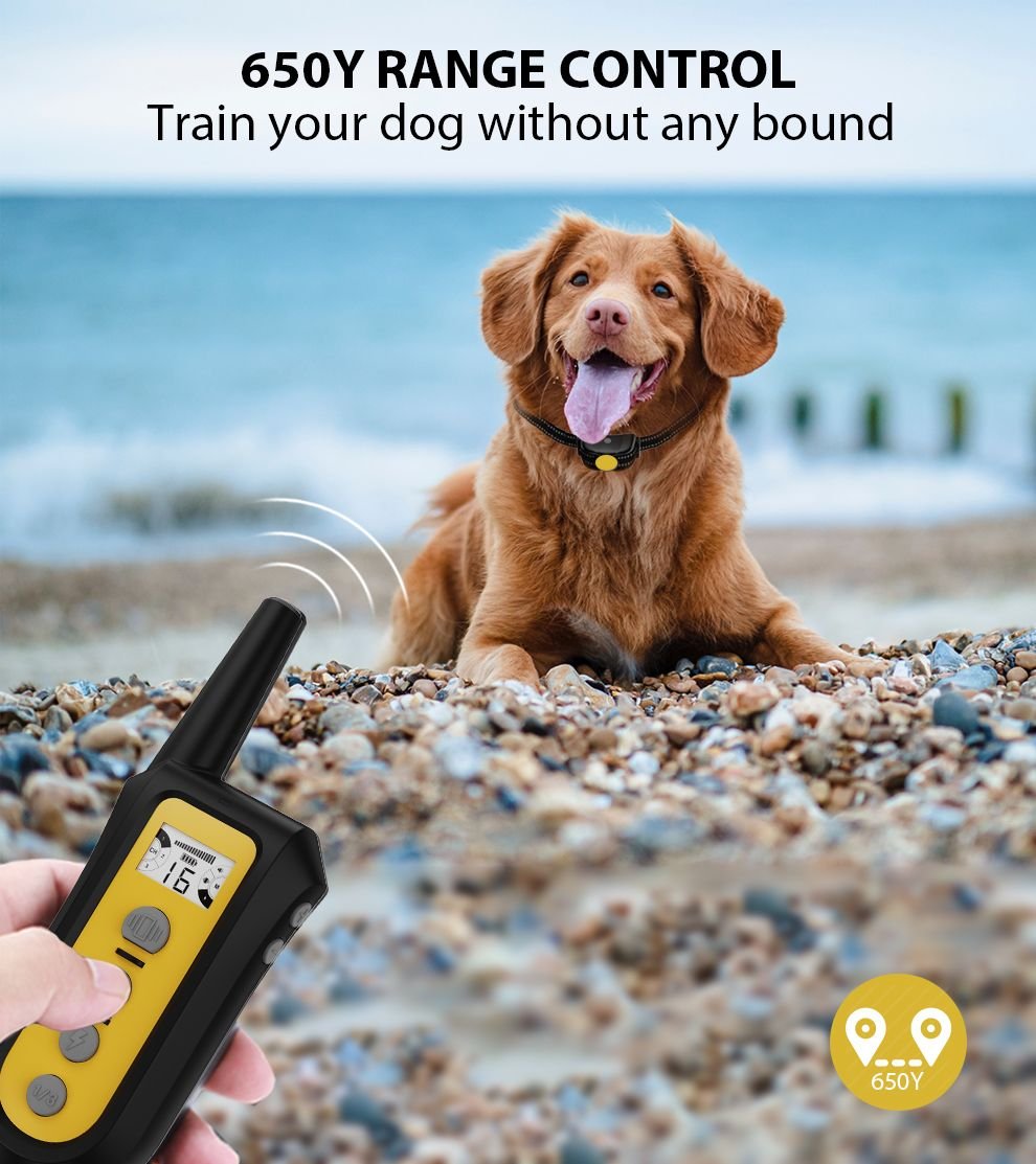 GROOVYPETS 650 Yard Auto Antibark Remote Dog Training Shock Collar