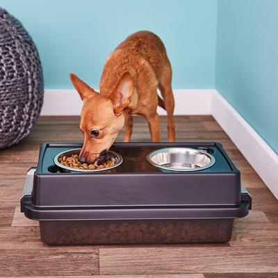 Show full view: IRIS Elevated Feeder with Airtight Food Storage, Smoke/Black, 2-cup slide 2 of 8