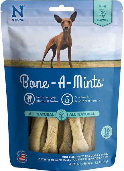 N-Bone Bone-A-Mints Mint Flavored Mini Dental Dog Treats, 16 count slide 1 of 5