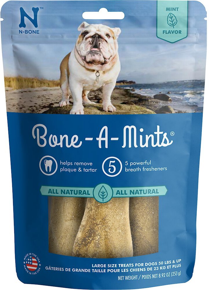NBONE BoneAMints Mint Flavored Large Dental Dog Treats, 4 count