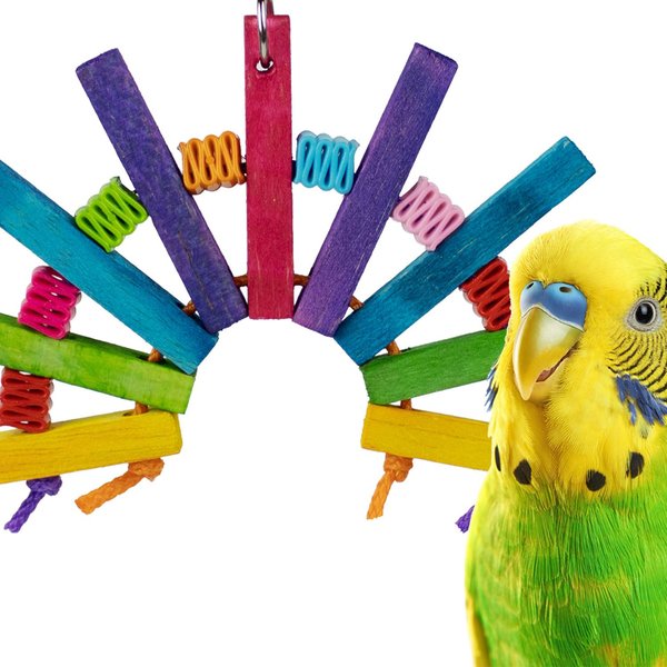  Balsa Wood for Bird Toys