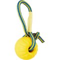 Starmark Swing 'n Fling DuraFoam Ball Dog Toy, Medium