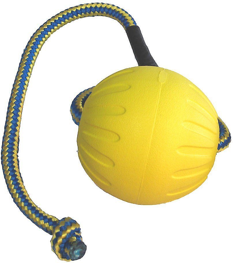 Ball on Rope Dog Toy