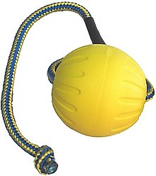 Starmark Swing 'n Fling DuraFoam Ball Dog Toy, Large