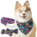 Branded Pack - Pixar Coco Dog Leash, Bandana, Bone Toy