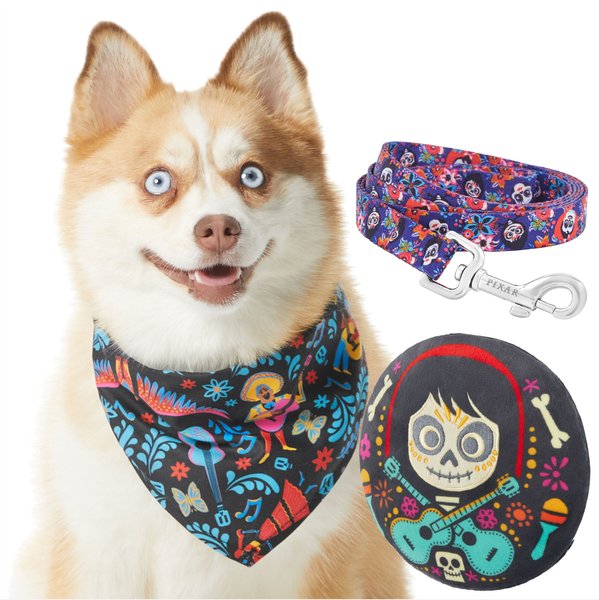 Branded Pack - Pixar Coco Dog Leash, SM, Bandana, X-Small/Small, Squeaky Toy slide 1 of 9