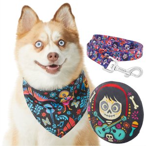 Branded Pack - Pixar Coco Dog Leash, SM, Bandana, X-Small/Small, Squeaky Toy
