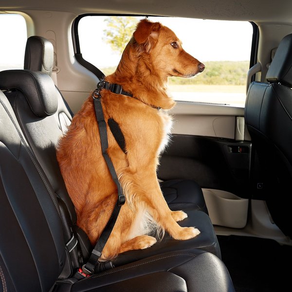 Dogit Car Safety Dog Belt slide 1 of 8