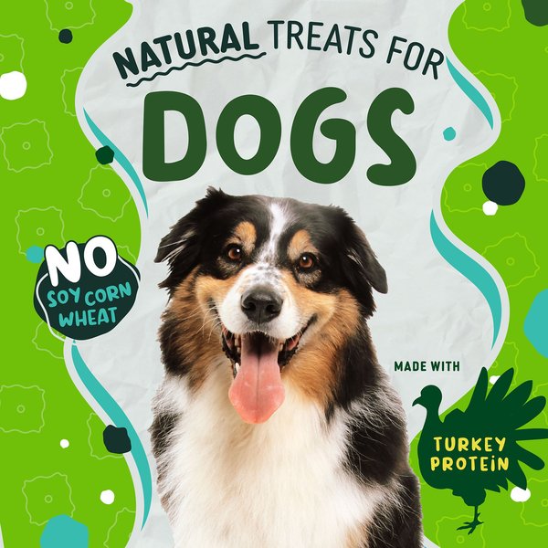 Earthborn Holistic EarthBars Minis with Turkey Protein Natural Dog Biscuit Treats