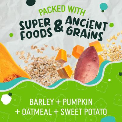 Show full view: Earthborn Holistic EarthBars Minis with Turkey Protein Natural Dog Biscuit Treats, 10-oz bag slide 5 of 9