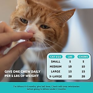 PetHonesty Dual Texture Calming Chews Supplement for Cats, 3.7-oz bag
