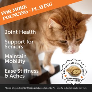 PetHonesty Hip & Joint Chicken Flavored Chews Joint Supplement for Senior Cats, 3.7-oz bag