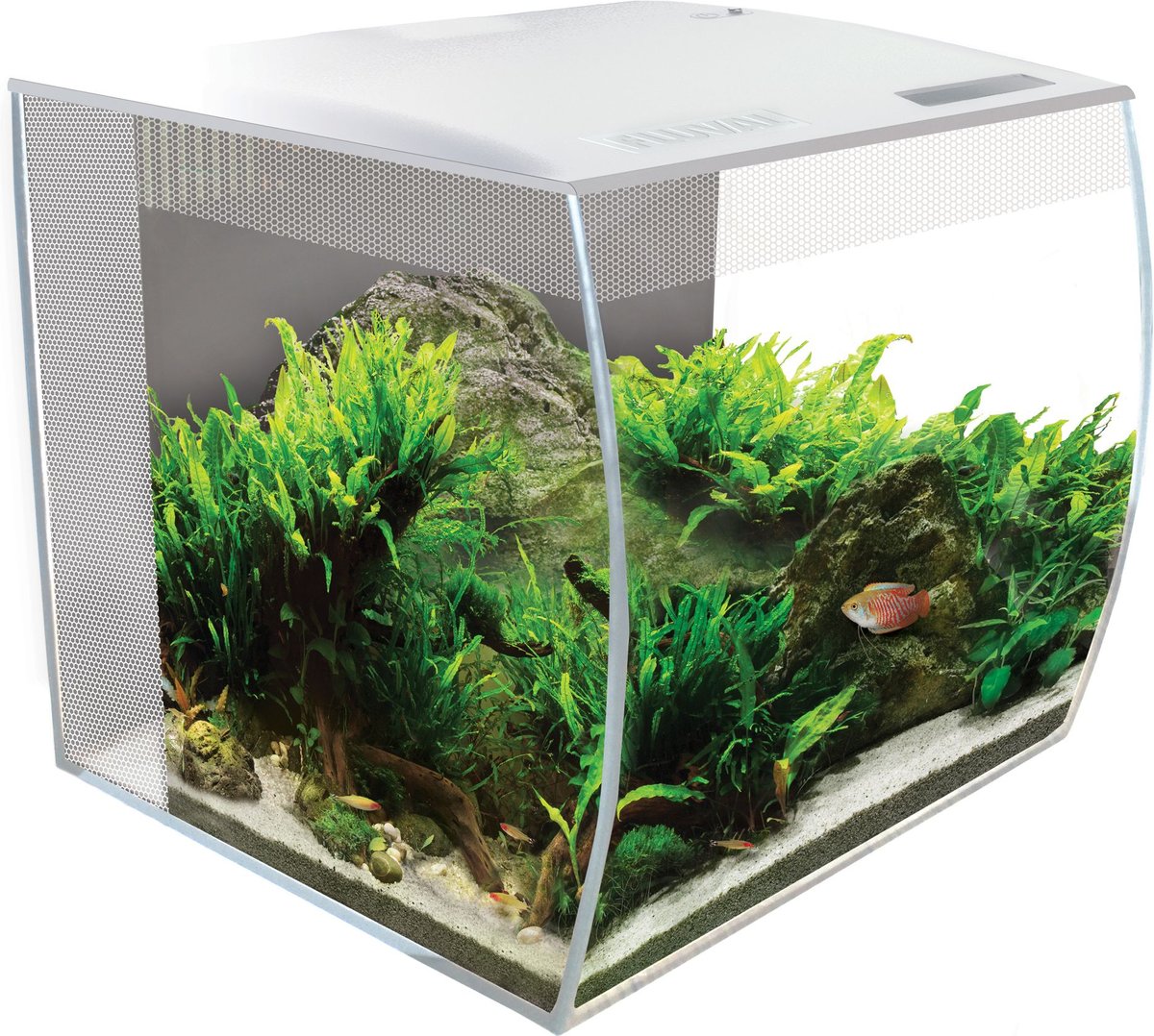 FLUVAL Flex Aquarium Kit, White, 9-gal 