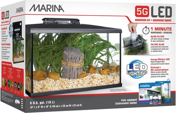 Ideaal veeg steen MARINA iGlo 5G Aquarium Kit, 5-gal - Chewy.com