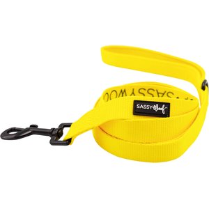 Sassy Woof Dog Leash, Small, Neon Yellow