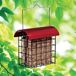 North States Crimson Double Suet Bird Feeder, Red slide 2 of 3