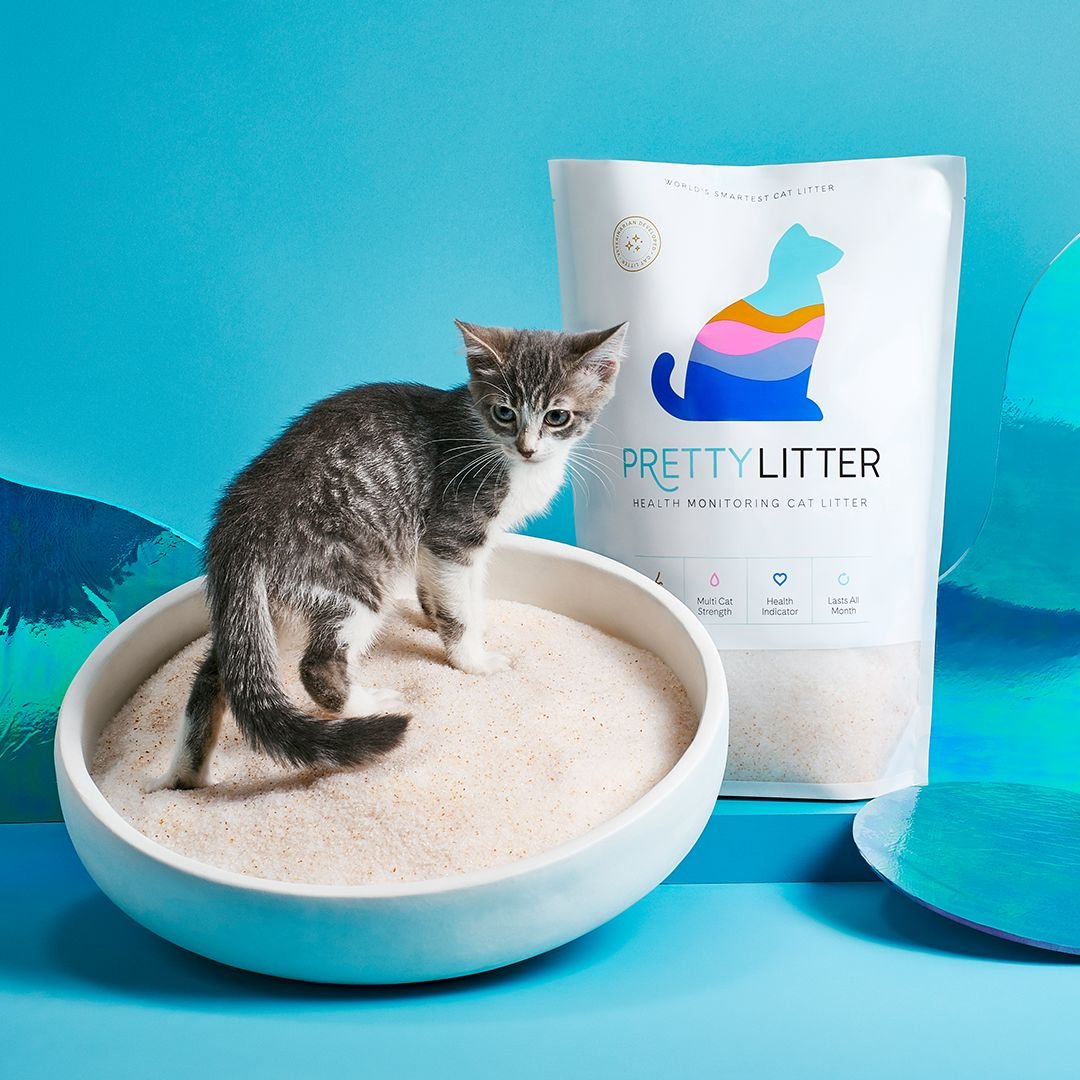 Pretty kitty litter sale