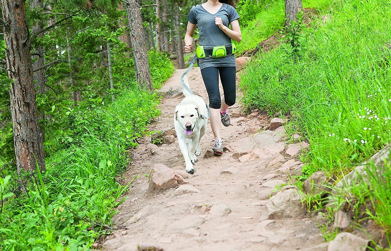 outward hound hands free leash