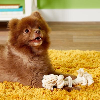 Show full view: Big Sky Antler Chews Natural Elk Antler Rope Dog Chew Toy, Small slide 2 of 7