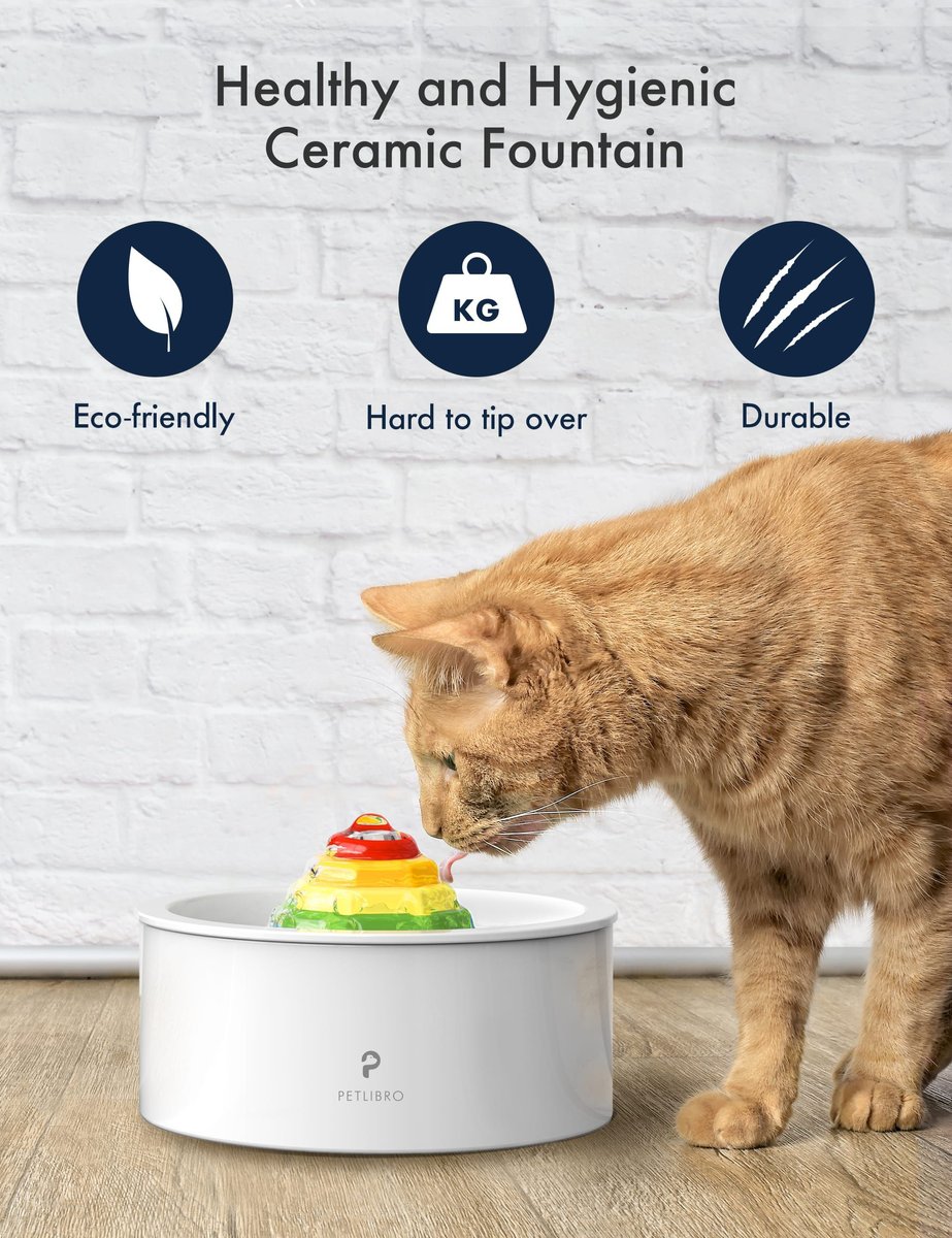 Best ceramic 2024 cat water fountain