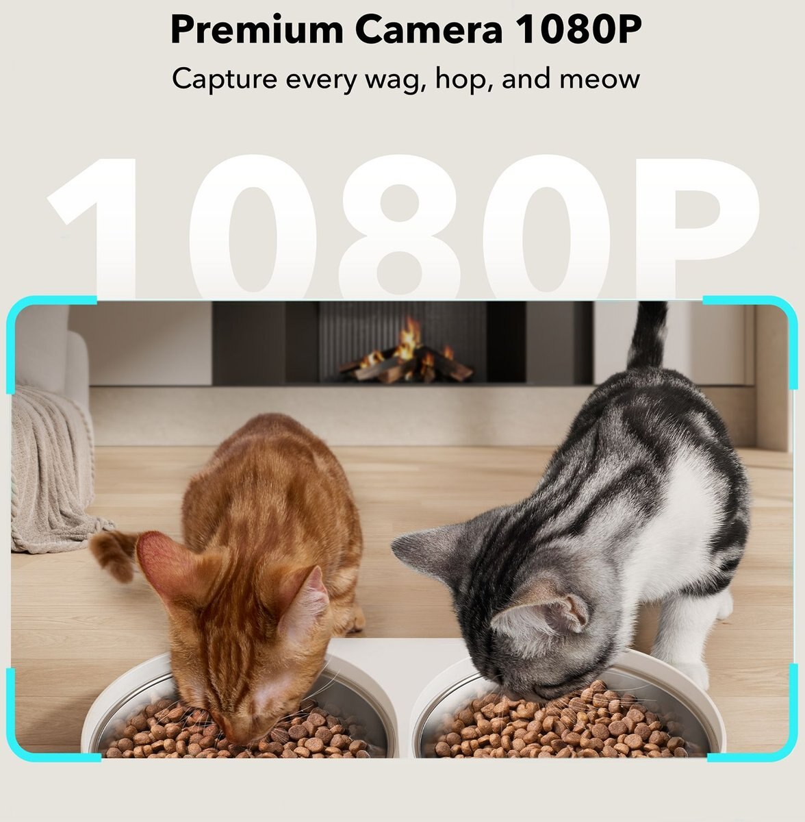 PETLIBRO Granary Automatic Two Cat & Dog Feeder with Camera