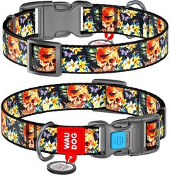 WAUDOG Nylon Plastic Fastex w/QR passport Dog Collar, Glamorous Skulls, Small