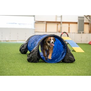 Better Sporting Dogs 10-ft Agility Tunnel with Sandbag Dog Toy, Blue
