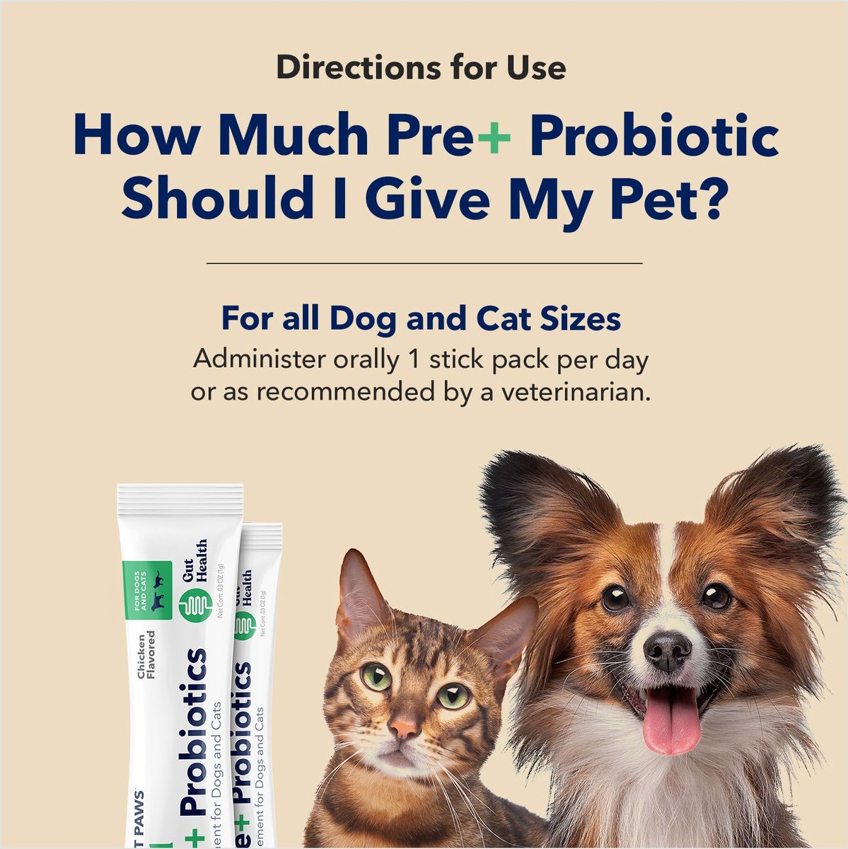 What are probiotics? Why and when should I give them to my dog or cat?