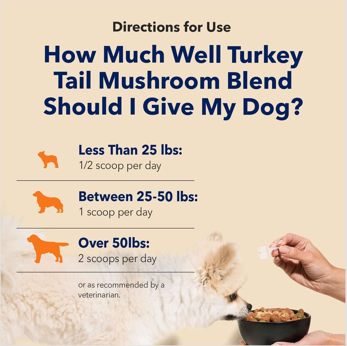 HONEST PAWS Digestive & Immunity Booster Dog Supplement, 30g jar