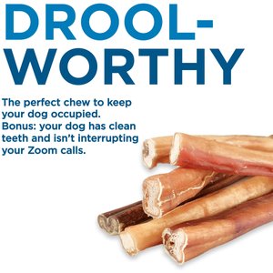 Best Bully Sticks 6-in Thick Bully Sticks Dog Treats, 5 count